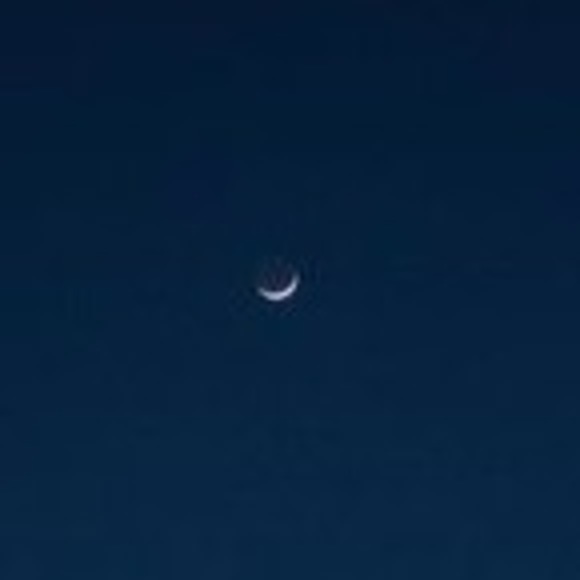 Meet your Posher, Olivia - Picture 1 of 1